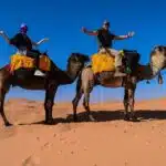 Tour from Casablanca