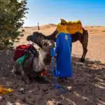 Private tour from Tangier