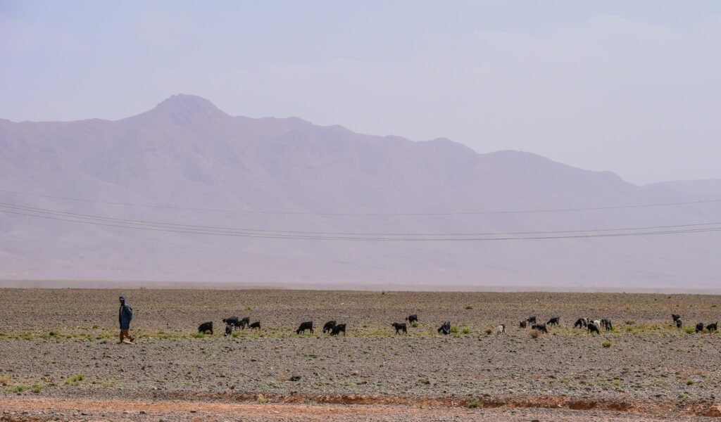 Sahara Desert private tours Morocco,Desert Private Tours Morocco,Private Tours Morocco,Desert Private Tours