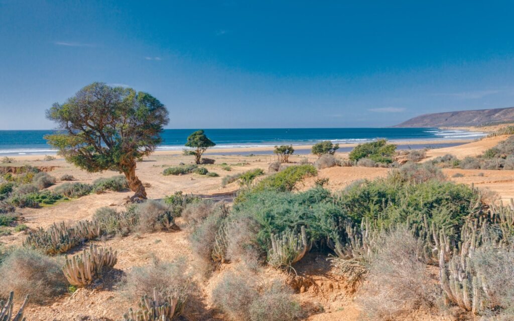 Visiting Morocco during summer
