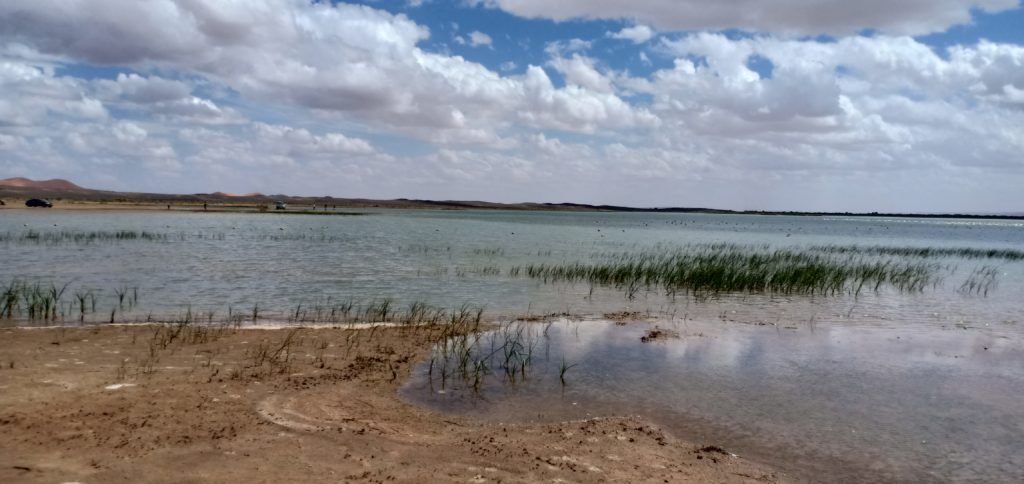 Things to do in Merzouga desert