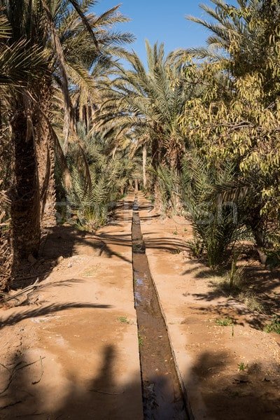 Things to do in Merzouga desert