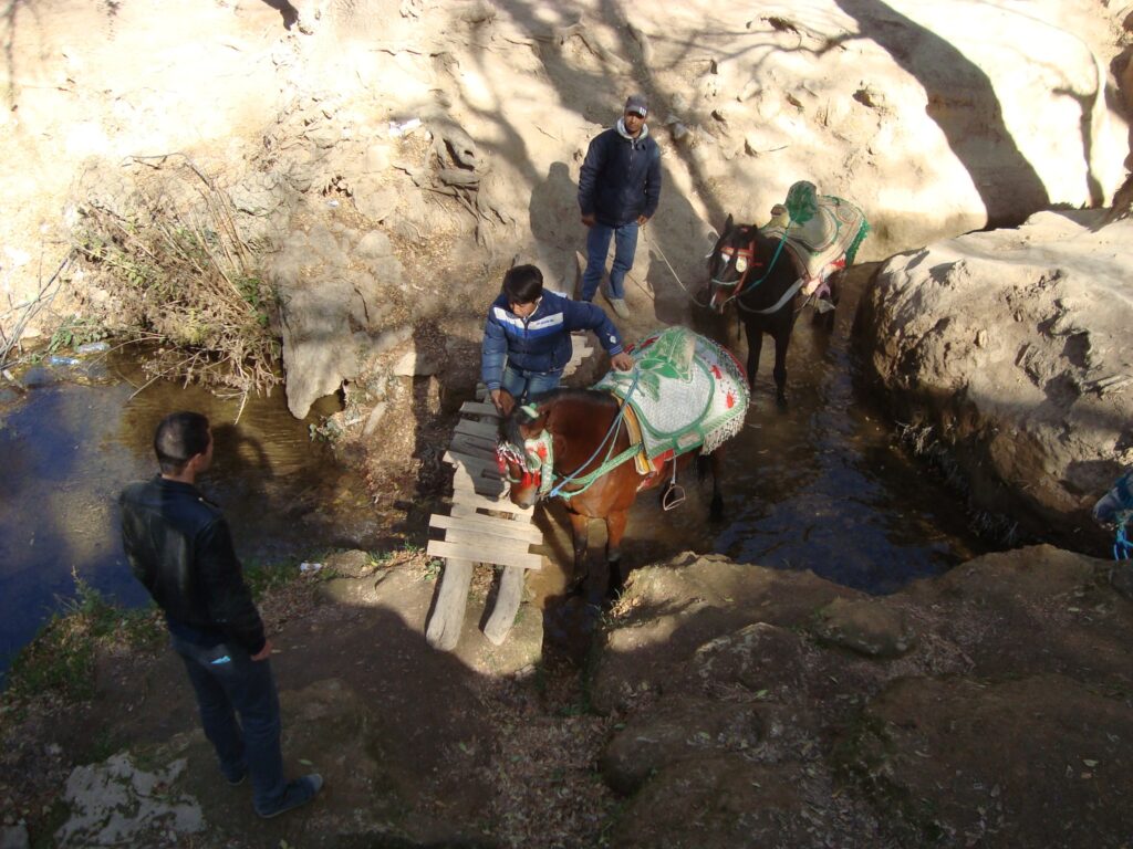 Day trip from Fez