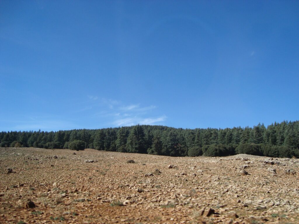 Day trip from Fez