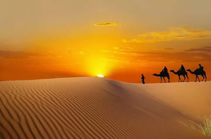 Desert tour from Fez
