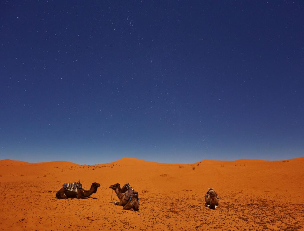 Private Morocco Tours