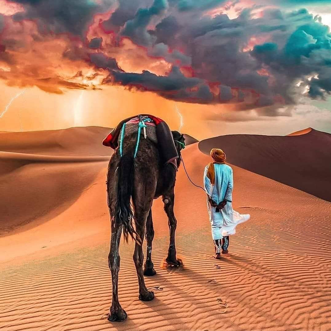 Tours From Marrakech | Private Tours Morocco | Marrakech Trips