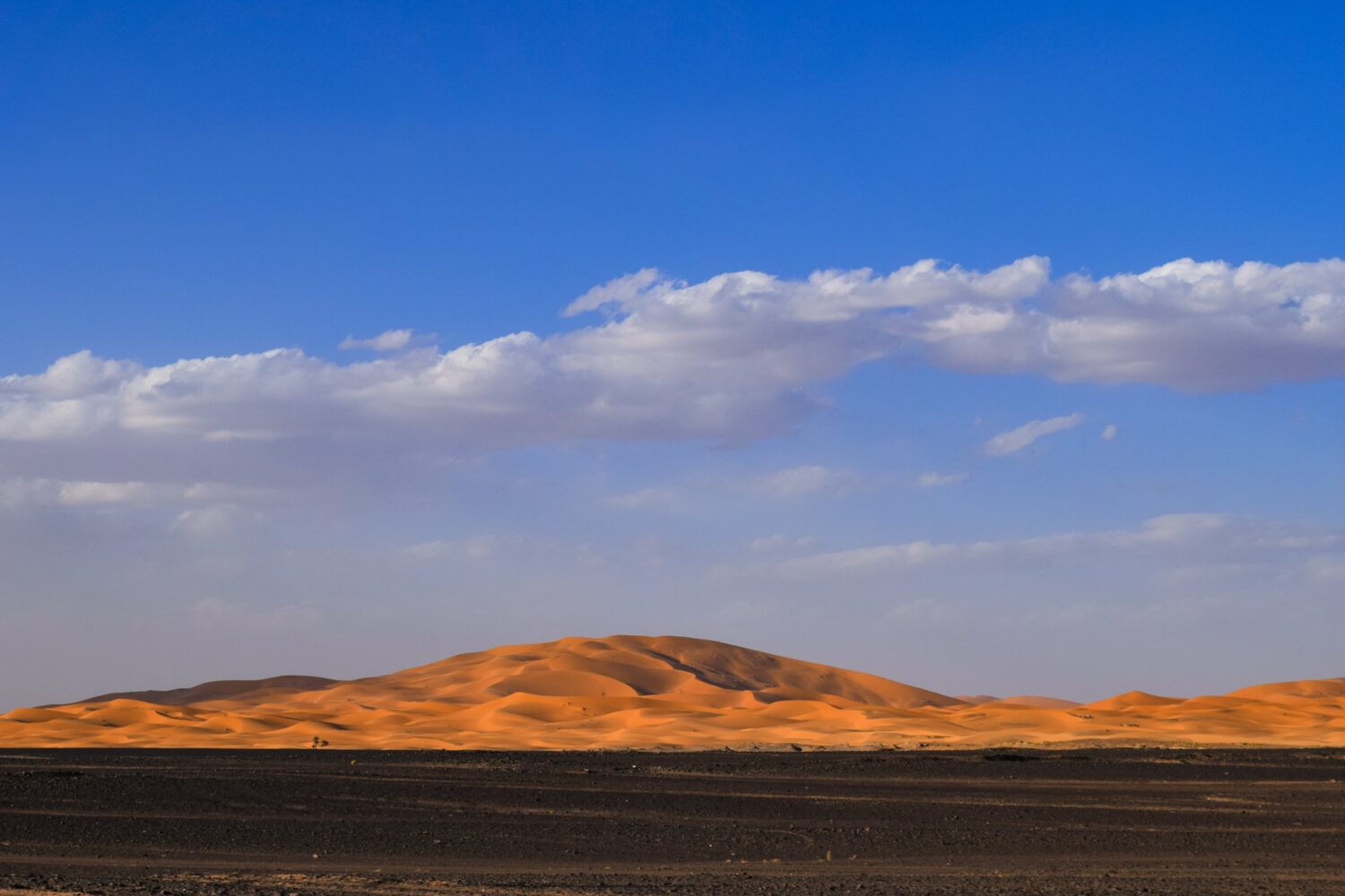 Sahara desert dunes Morocco