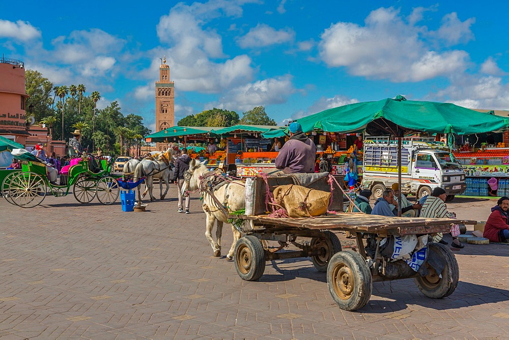 Marrakech Morocco tour highlights