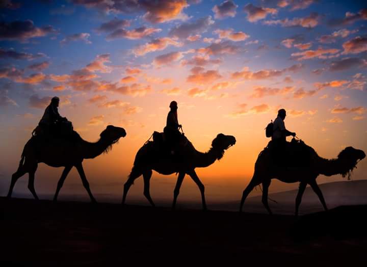 morocco tours camel ride