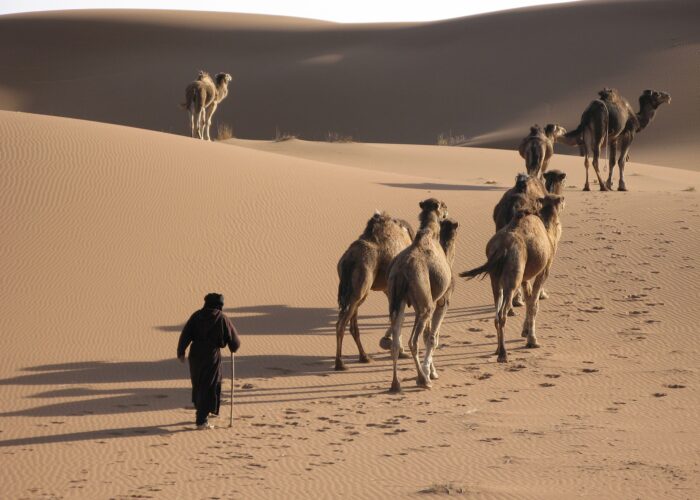 2 day private desert tour from Fez