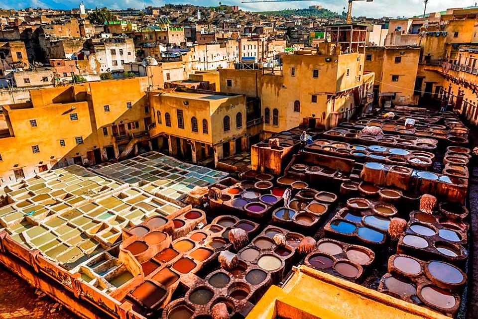 trips from fez