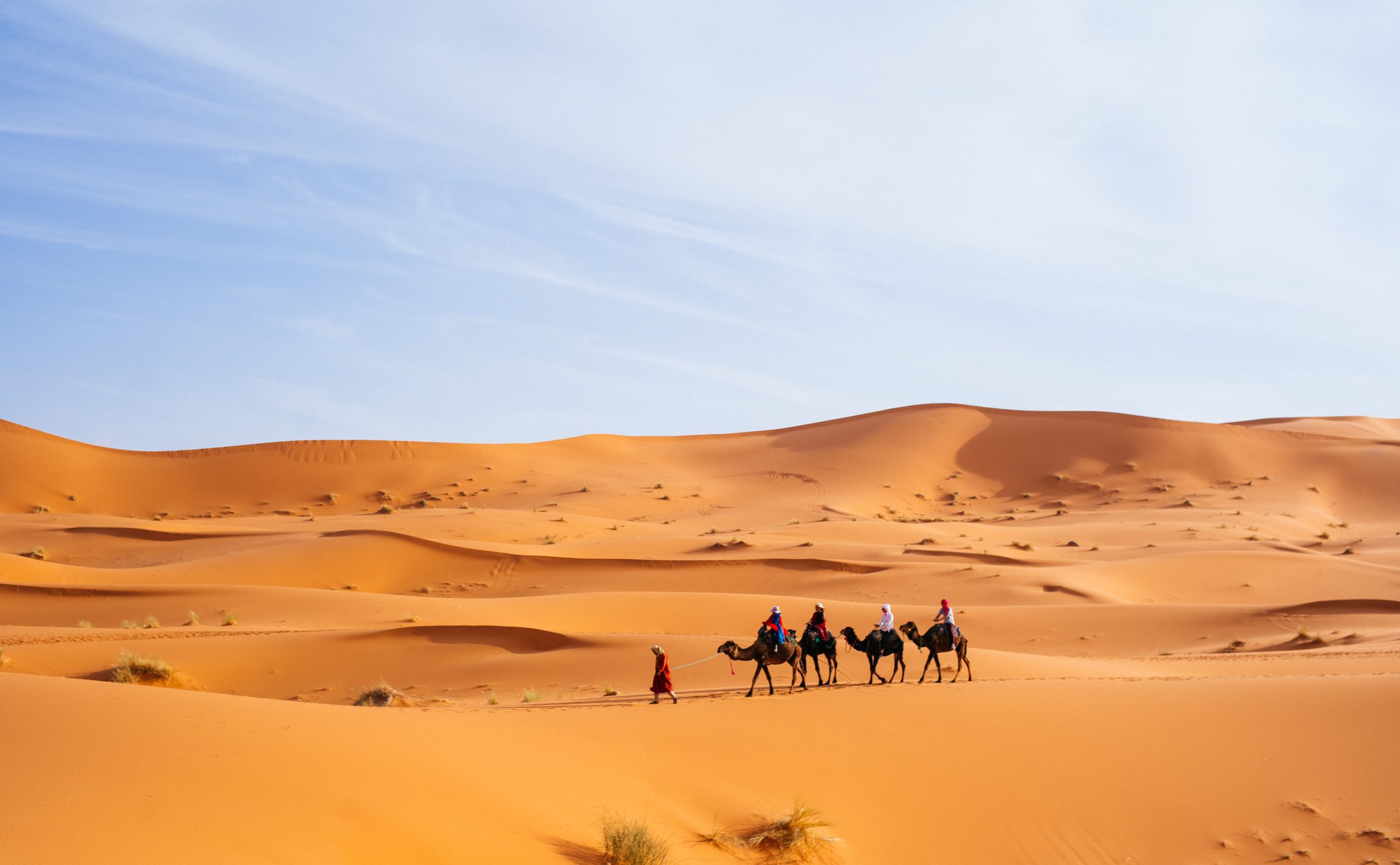 Merzouga sahara desert trips
