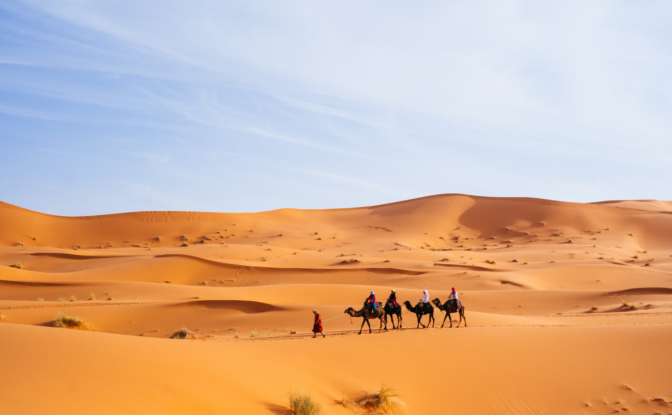 merzouga desert tours