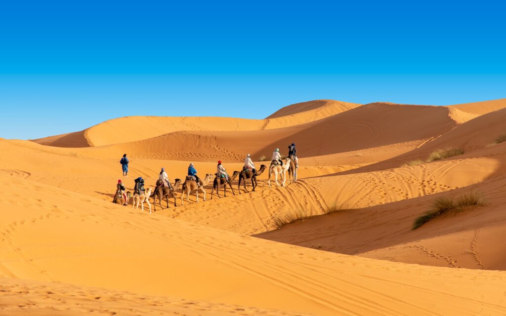 Things to do in Merzouga desert camel ride