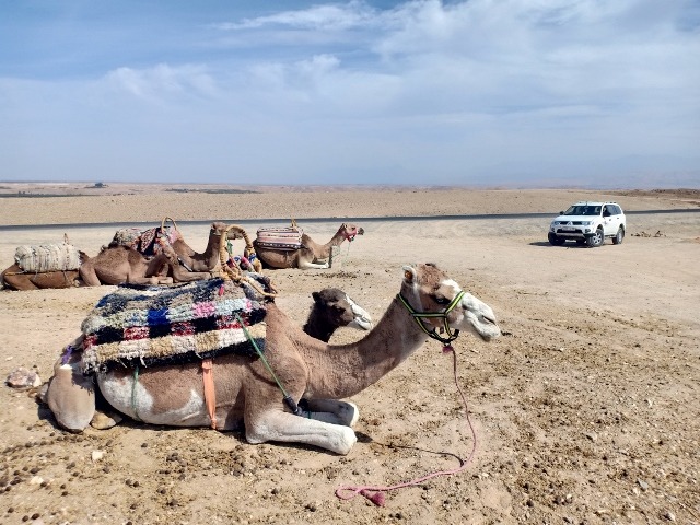 day trip to agafay desert