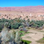 Desert trip from Ouarzazate
