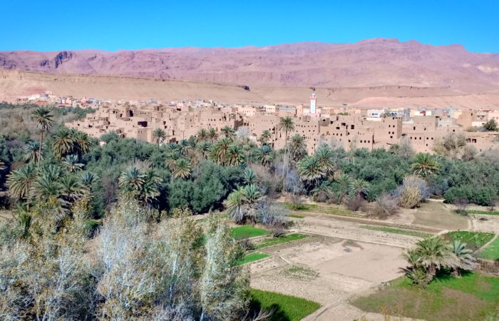 Desert trip from Ouarzazate