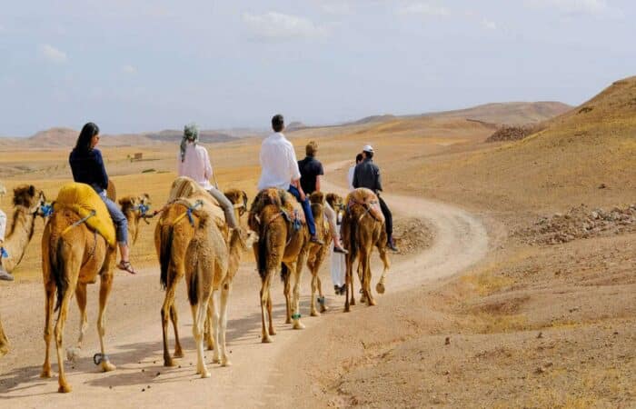 Agafay desert sunset camel ride