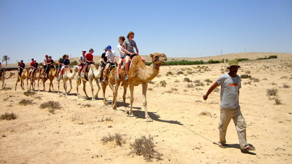 Agafay desert sunset camel ride  parents guide to Morocco