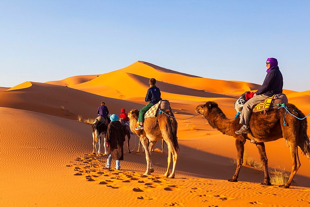 Private Trips in Morocco