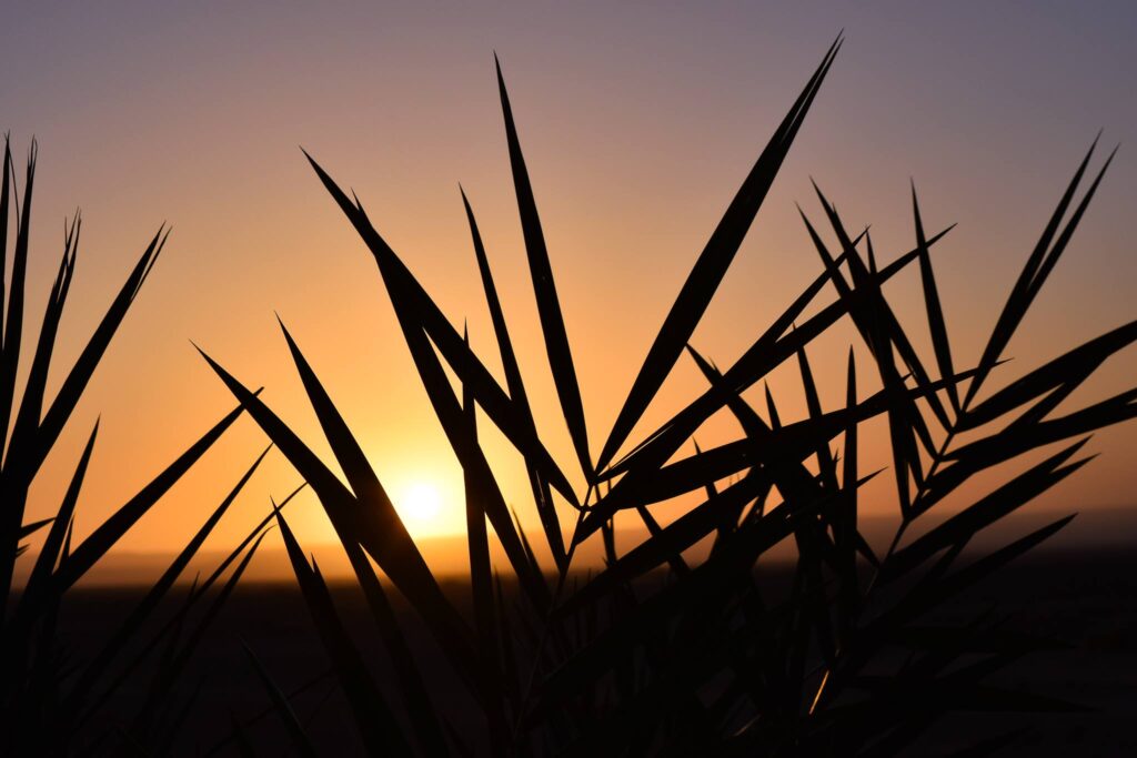 39981529 10101805835549731 6473317619825901568 n Morocco Tours from Germany